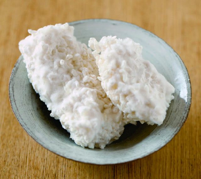 koji là lớp mốc trắng